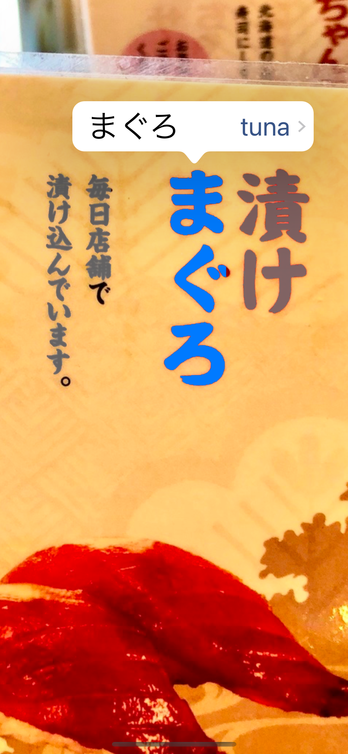 Nihongo using camera lookup to recognize Japanese text in an image on iPhone