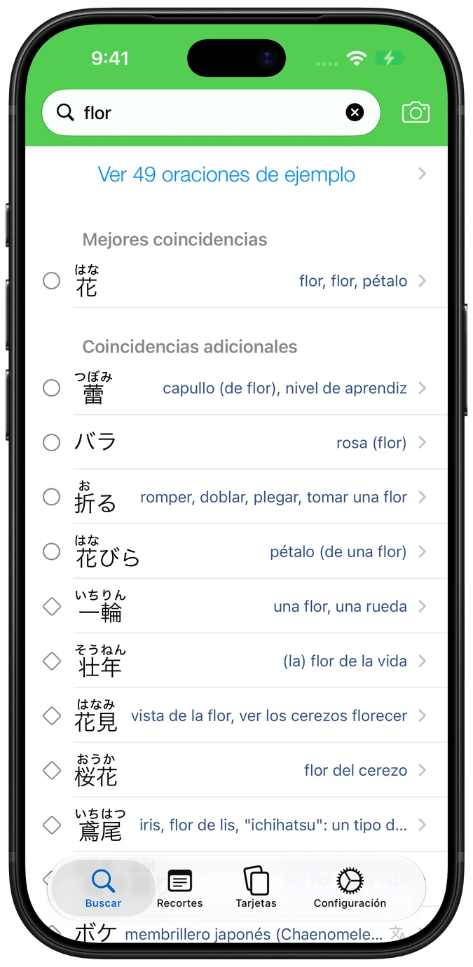 Búsqueda en el diccionario de Nihongo